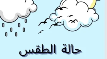 حالة الطقس في مصر والمدن العالمية السبت 25 أكتوبر 2025: تفاصيل درجات الحرارة المتوقعة